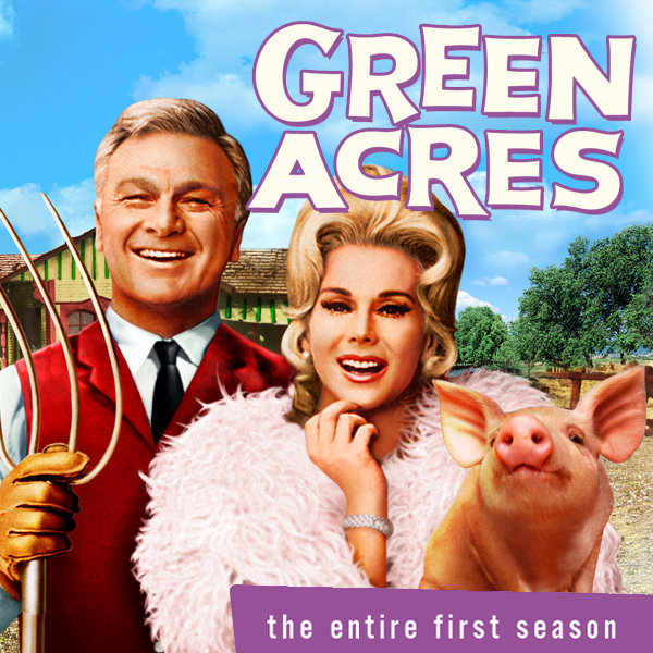 Green Acres is the Life for Me - Big City versus Small Town Living