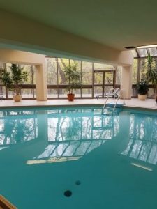 Pool in the Forest